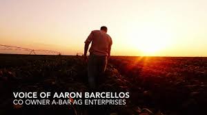 Image result for agrobellon tehron