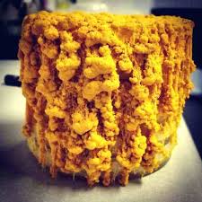 Attēlu rezultāti vaicājumam “Physarum obscurum young”