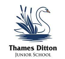 Image result for Thames Ditton Schools Fc