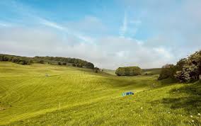 Image result for Shrivenham Smallbore Club