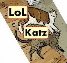 Image result for lulcatz