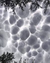 Attēlu rezultāti vaicājumam “Mammatus”