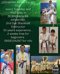 Image result for Kenpo Karate Club
