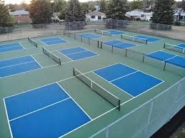 Image result for 1st New Forest Pickleball Club