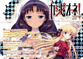 「サルバトーレ・ドニ カンピオーネ！」の画像検索結果