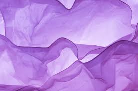 Image result for violet