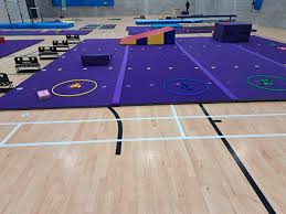 Image result for City Of Salford Gymnastics Club
