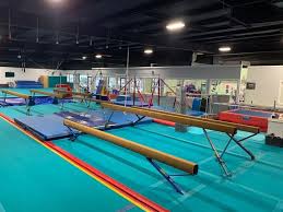 Image result for Elite Recreational Gymnastics Club