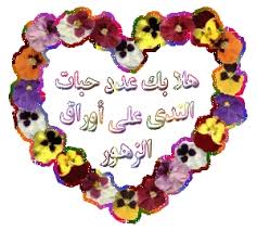 ترحيب بالأخت الجديدة ( ربيعة ) فأهلا وسهلا بها Images?q=tbn:ANd9GcRarBIuG4ms_6Wrcx2CBEmugjYZTzgUJBW6WD8JAGvBJN1kDnMd