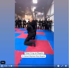 Image result for Peter Kings Dojo