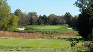 Image result for Flint Golf Club