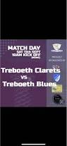 Image result for Treboeth All-Stars