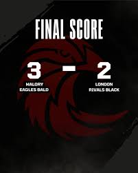 Image result for Malory Eagles volleyball club