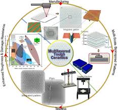 Attēlu rezultāti vaicājumam “Conardia compacta macro”