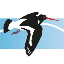 Image result for Cumbria Soaring Club