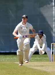 Image result for Yelverton Bohemians Cricket Club