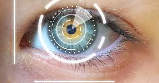 Image result for heat map eye