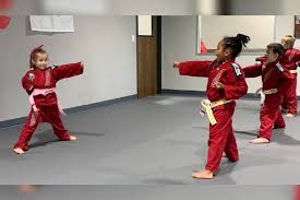 Image result for Professional  Martial Arts Academy