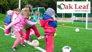 Image result for Fareham Oaks Badminton Club