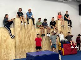 Image result for Les Voleurs Parkour Club