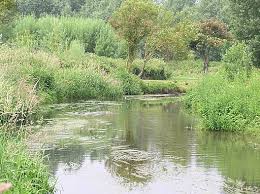 Image result for Henlow Cc