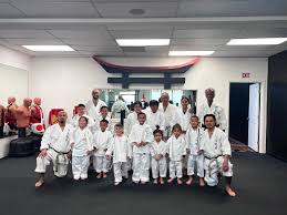 Image result for COURT FIELDS karate Academy