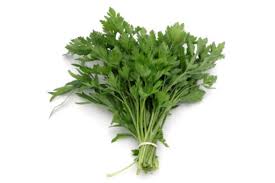 Image result for Koriander