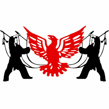 Image result for Farnham Kung Fu Club