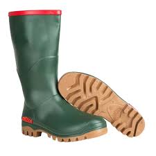 Image result for Gumboots