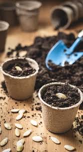 Afbeeldingsresultaat voor earl faux tomato