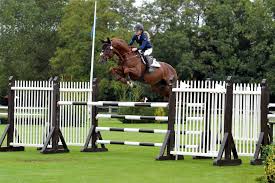 Image result for Staffordshire Stallions