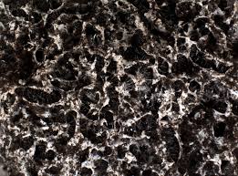 Attēlu rezultāti vaicājumam “Fuligo cinerea”