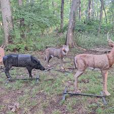 Image result for Old Oundle Bowman Archery Club