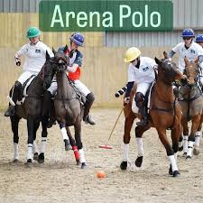 Image result for Cambridge and Newmarket Polo Club