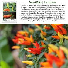 Afbeeldingsresultaat voor hungarian sweet apple sweet pepper