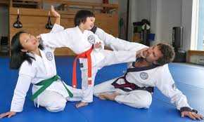 Image result for COURT FIELDS karate Academy