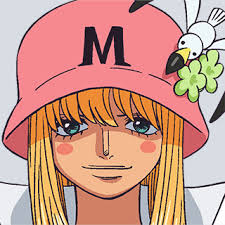 「ヒナ ONE PIECE」の画像検索結果