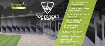 Image result for Pachesham Park Golf Centre