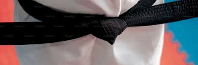 Image result for Alpha Judo Club