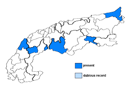 Attēlu rezultāti vaicājumam “Hertelidea botryosa”