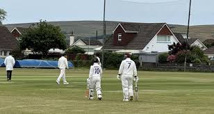 Image result for North Devon Cricket Club