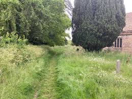 Image result for Ladock Smbc