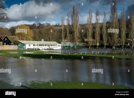 Image result for Henley Cricket Club