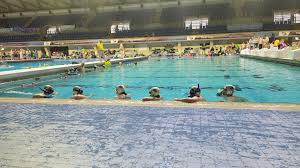 Image result for Brighton Octopush Club