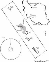 Attēlu rezultāti vaicājumam “Dendrocopos medius nest”