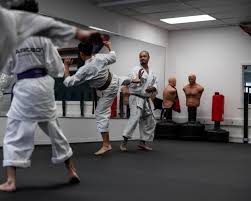 Image result for COURT FIELDS karate Academy