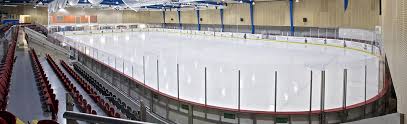 Image result for Streatham Ice Figure Skating Club, Kent