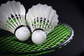 Image result for Phoenix (Trowbridge) Badminton Club