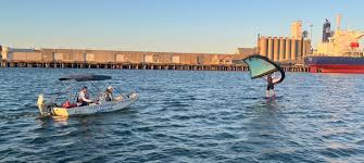 Image result for Ware Swimming Club