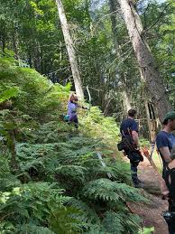 Image result for Row Brow Field Archery